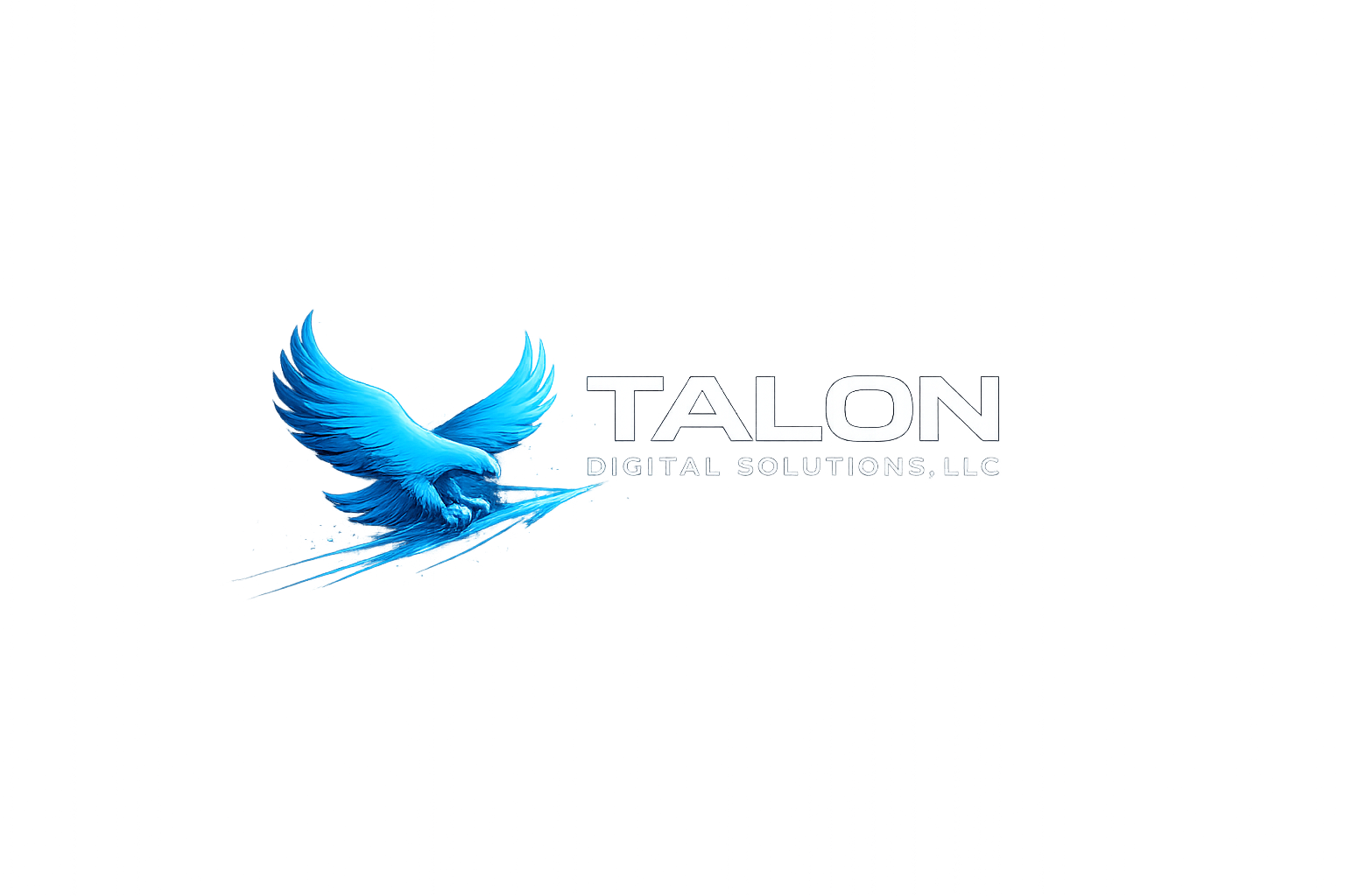 Talon Digital Solutions
